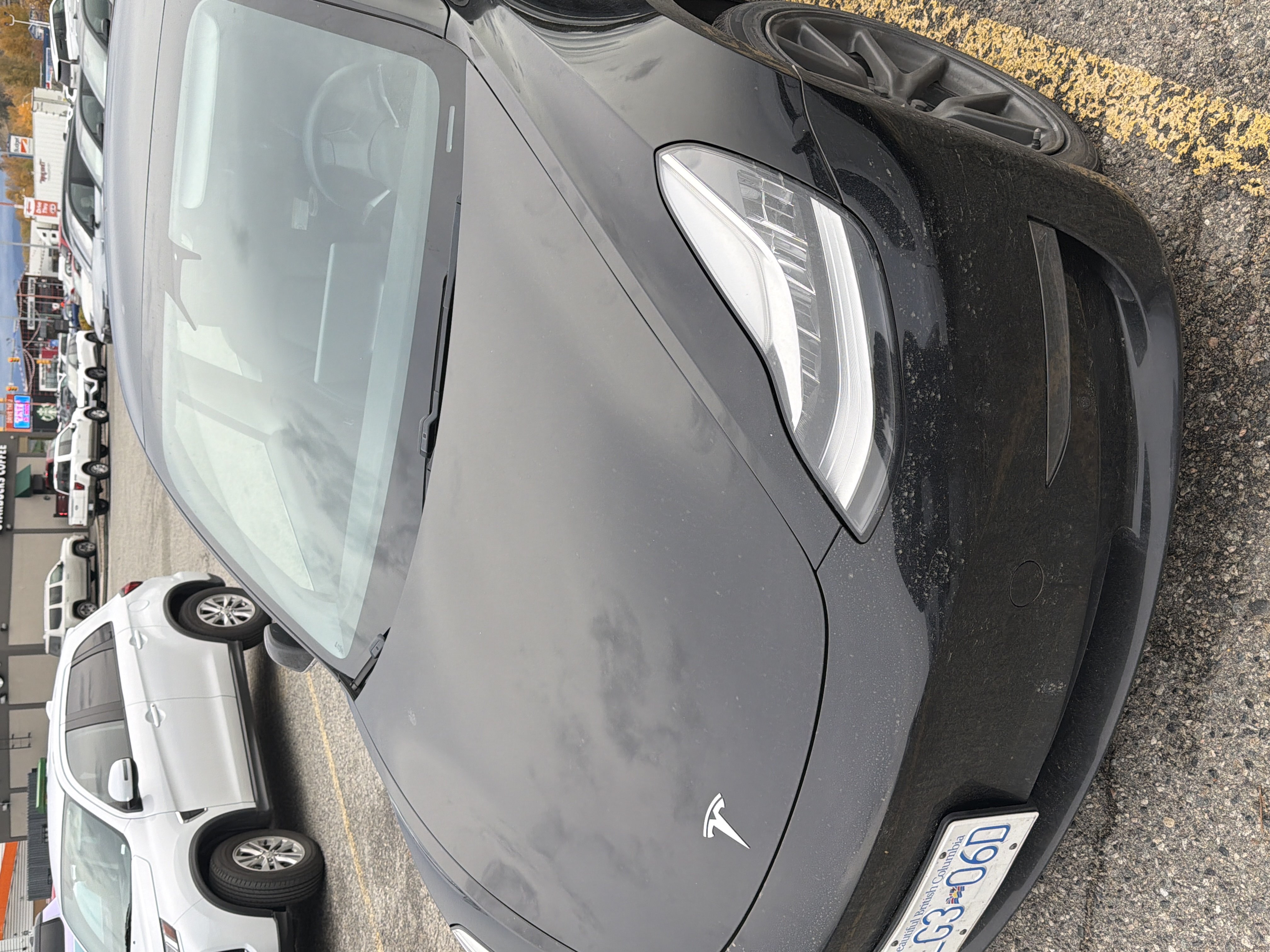 2020 Tesla Model 3 Standard Range