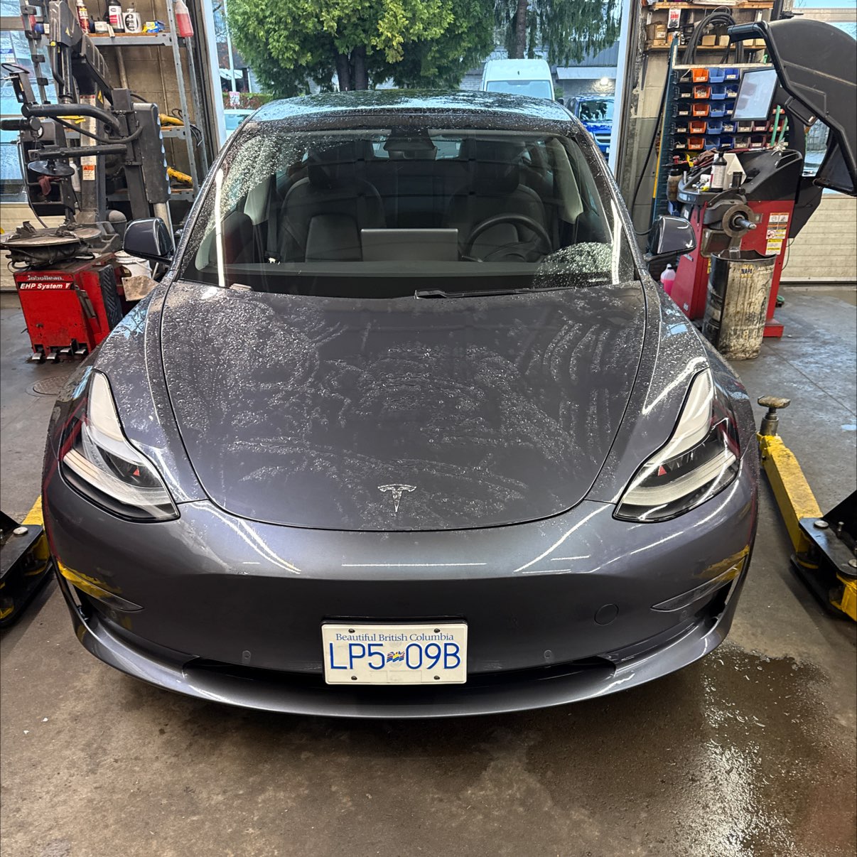 2021 Tesla Model 3 Standard Range Plus RWD